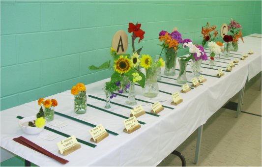 Annual Cut Flowers, Perennials and Biennials and Flowering Bulbs Sections