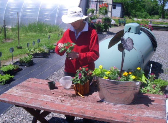 Marlene prepares large and small planters